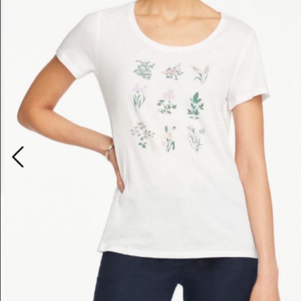 🌱ANN TAYLOR🌱BOTANICAL BEADED SCOOP NECK TEE🌱